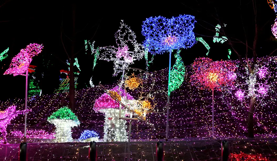 겨울 여행지 추천 청도 프로방스