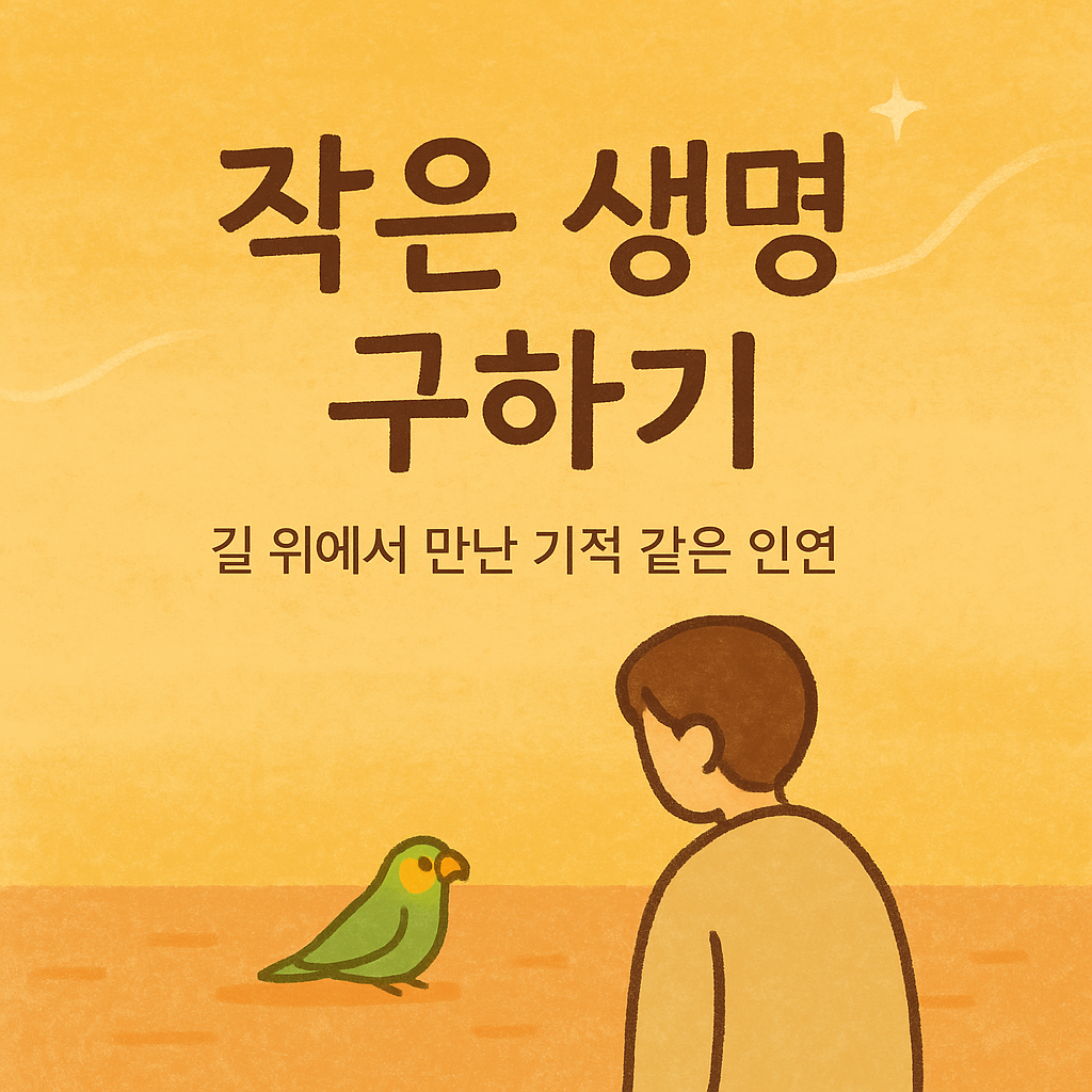 작은 생명 구하기 관련 이미지