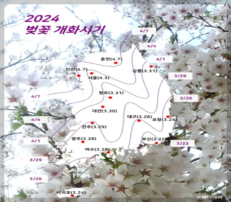 벚꽃 개화시기