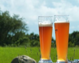 군산수제맥주&amp;블루스페스티벌