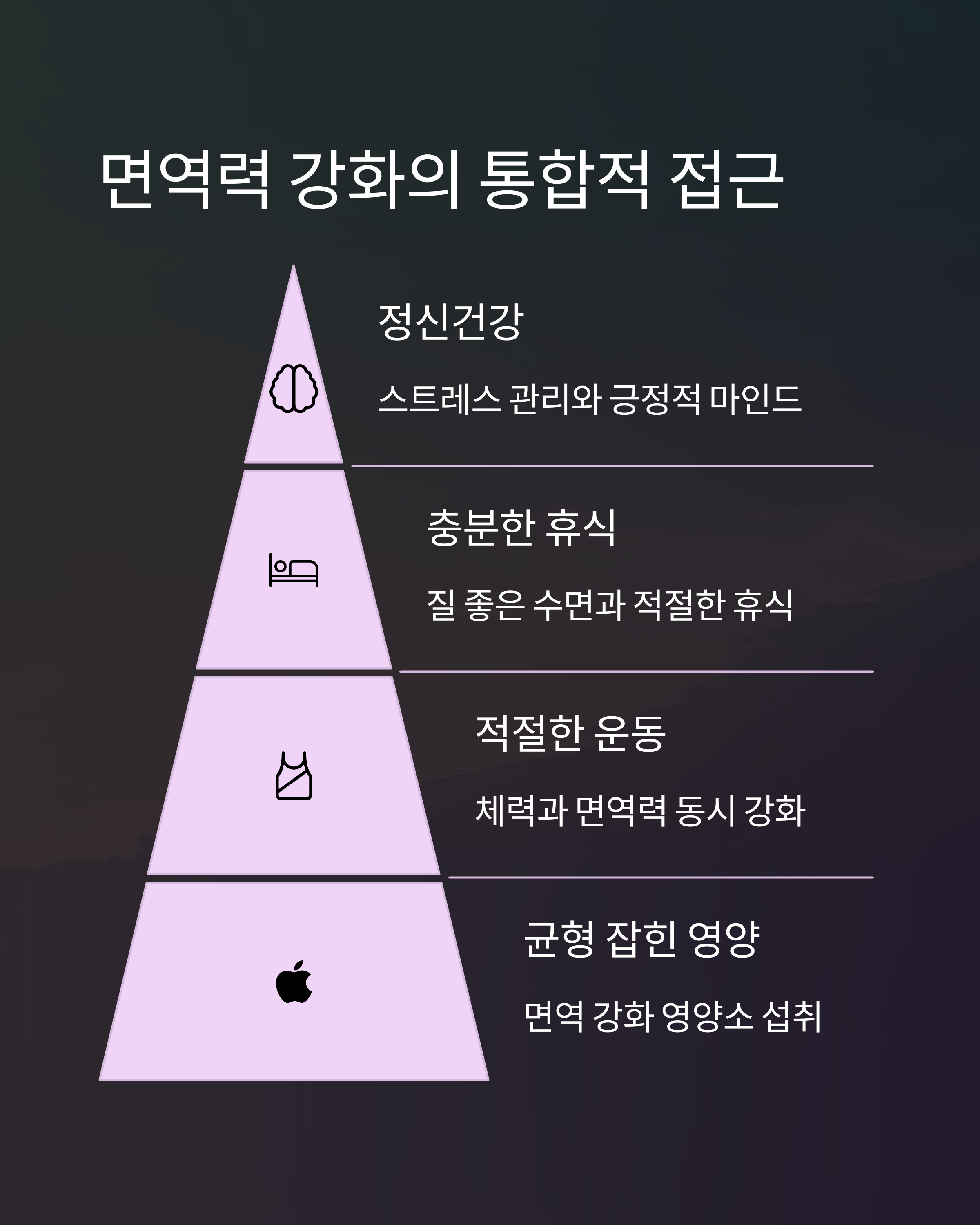 항암치료 면역력 강화의 통합적 접근