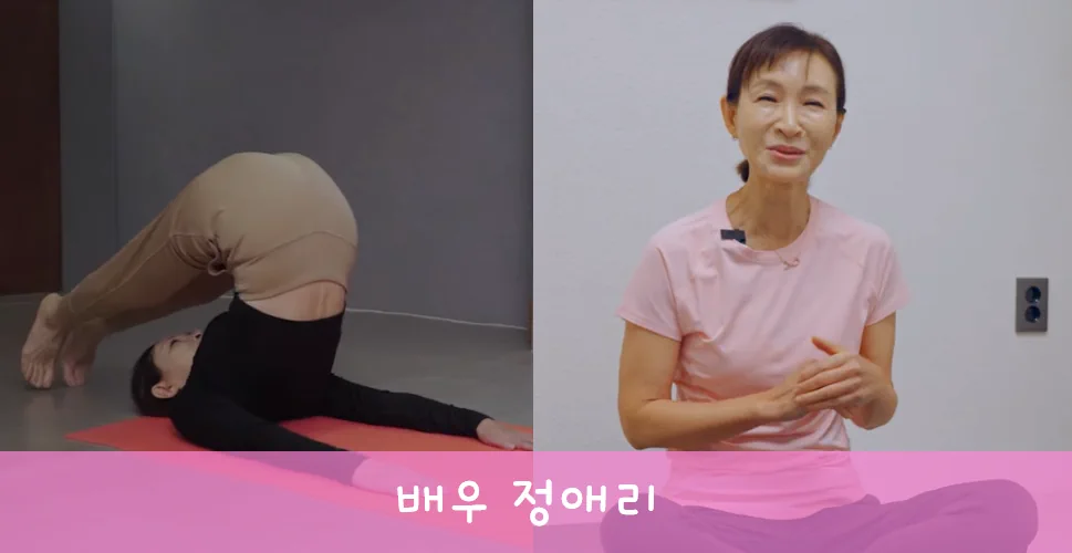 정애리