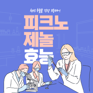 피크노제놀 효능