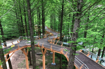 장태산 자연휴양림 숲체험1