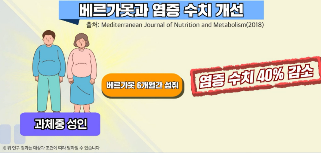 베르가못 효능