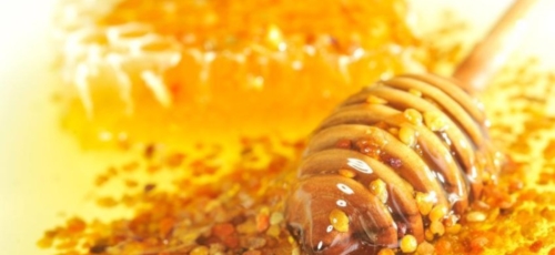 프로폴리스 이미지