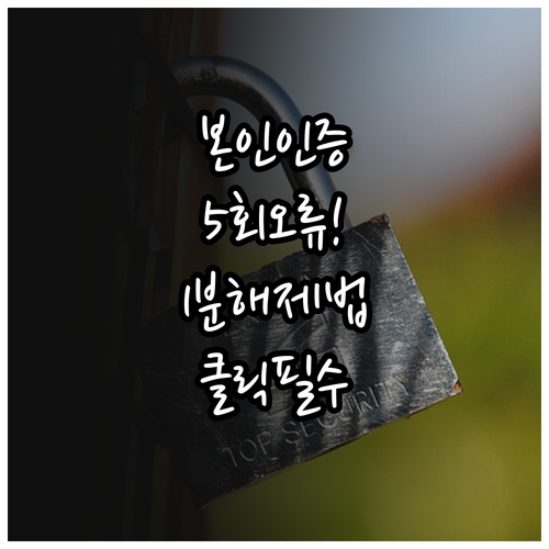 본인인증 5회 오류 제한 해제 및 고..
