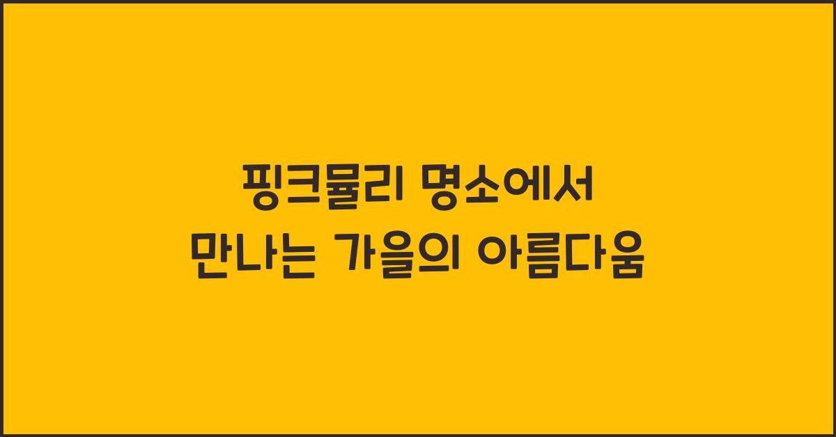 핑크뮬리 명소