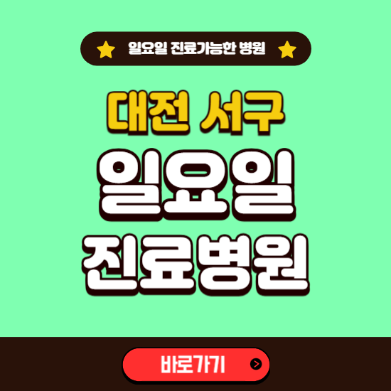 대전 서구 일요일 진료 가능한 병원 ❘ 주말 문여는 곳 총정리 (소아과, 내과, 안과, 치과, 피부과, 정형외과, 산부인과)