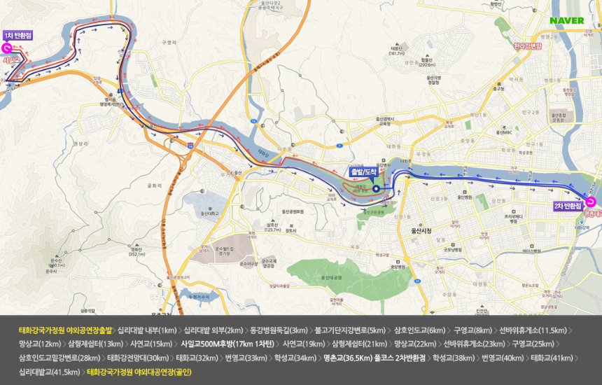 2025 태화강 국제마라톤 – 일정, 코스, 참가 방법 총정리 🏃♂️🌿