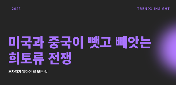 희토류 전쟁