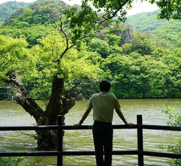 청송 주산지