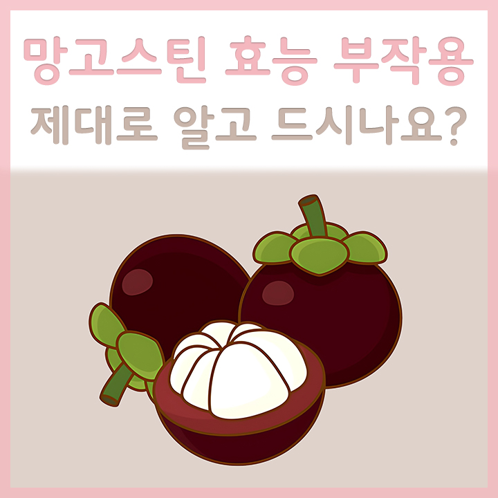 망고스틴