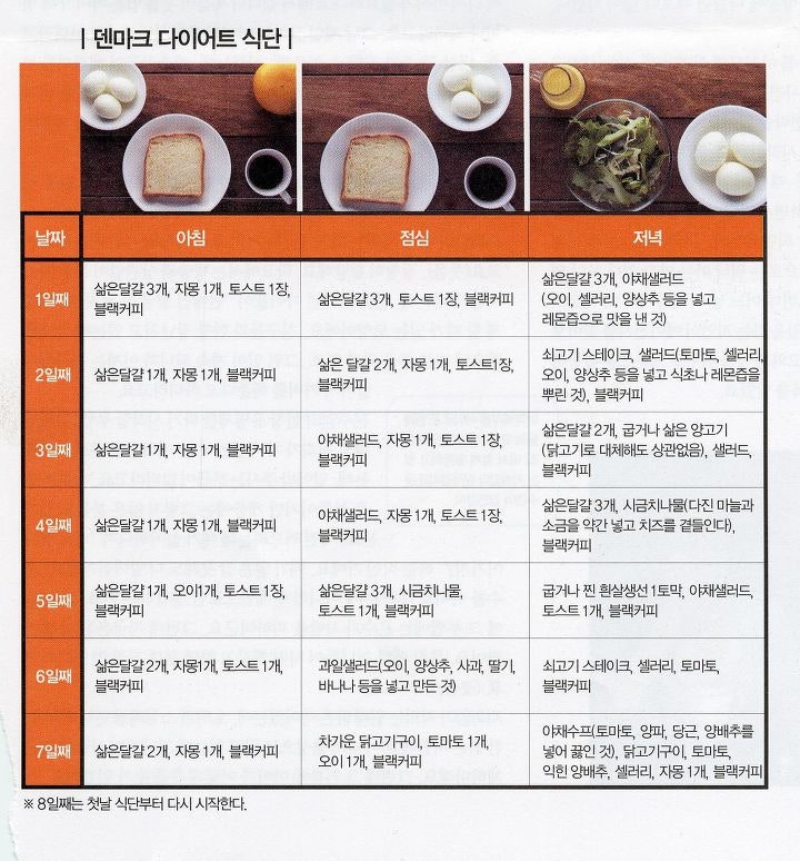 덴마크다이어트 식단표