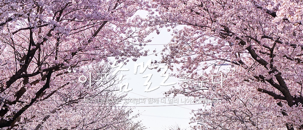 제주도 여행 할인받고 가기