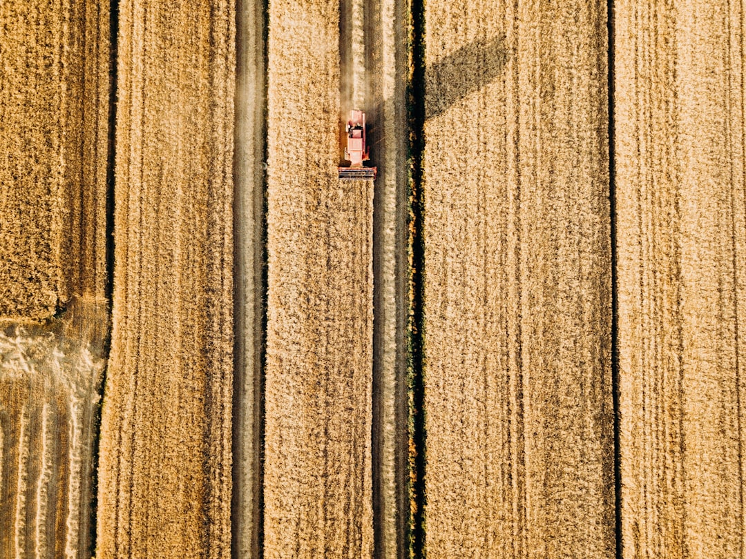 Mowing