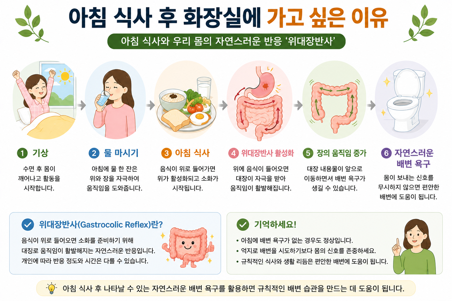 아침 식사 뒤 위대장반사와 배변 욕구를 설명하는 순서도