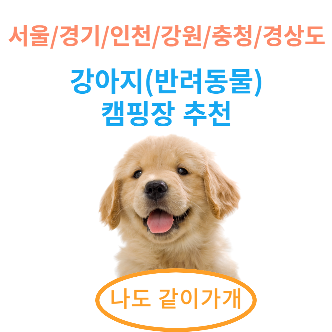 캠핑장 추천