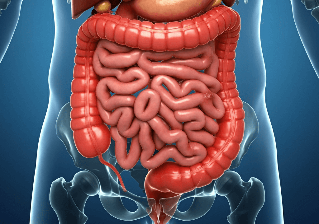 대장암 초기증상 대장암 원인 대장암 예방 대장암에 좋은 음식 대장암 예방법 대장암 증상 대장암 검진 대장암 예방 식단 대장 건강 관리