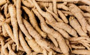 더덕구이 맛있게 하는법