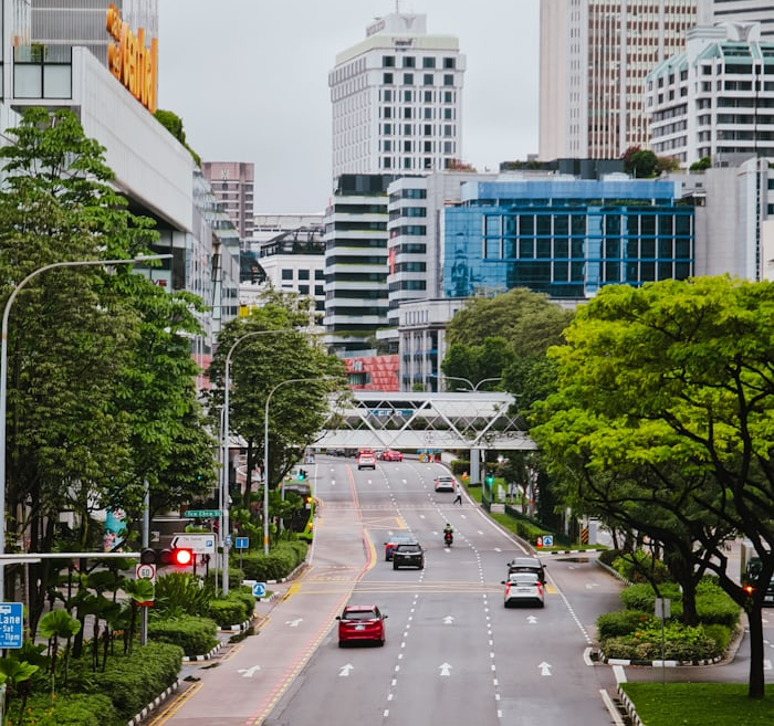 싱가포르 도로 설계와 교통 체증이 적은 이유!