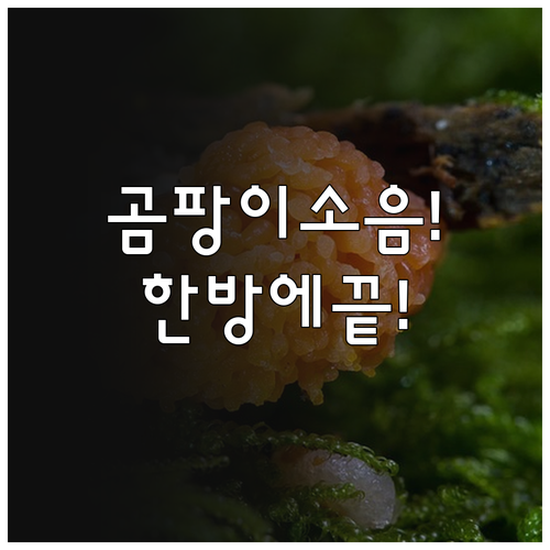 욕실 환풍기 곰팡이와 소음 문제 해결..