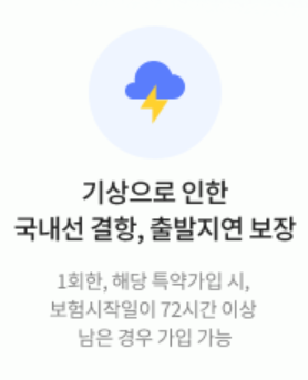 DB손해보험 국내 여행자보험 인터넷 가입