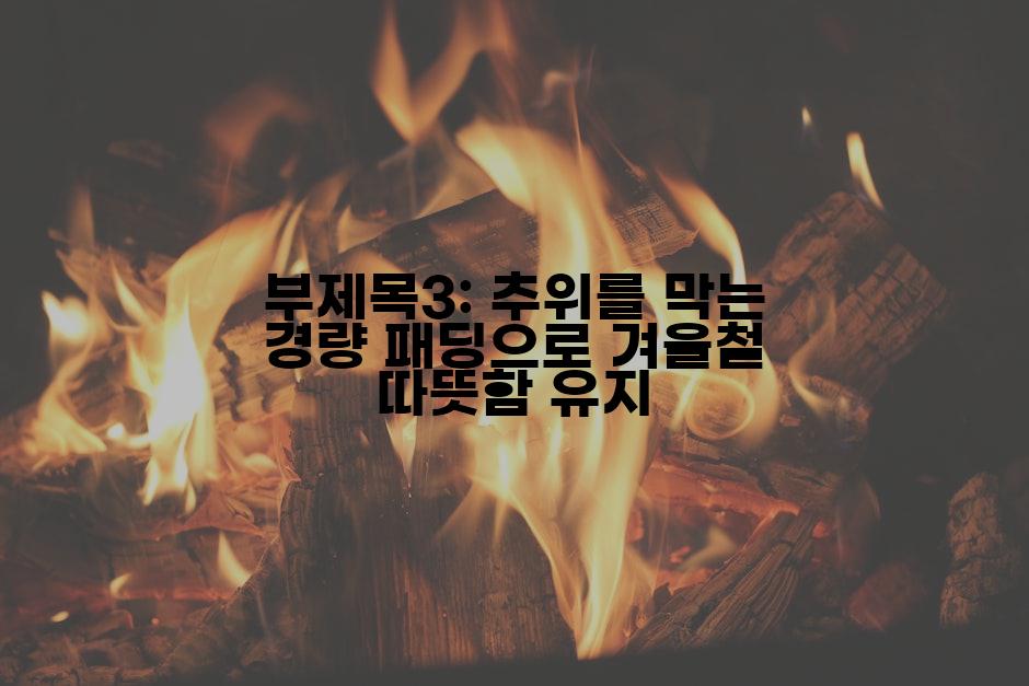 부제목3: 추위를 막는 경량 패딩으로 겨울철 따뜻함 유지