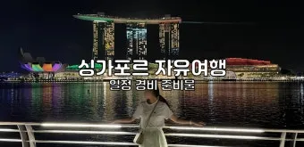 싱가포르 여행경비 3박4일 실측 가이드 낭비 없는 예산 짜기_11
