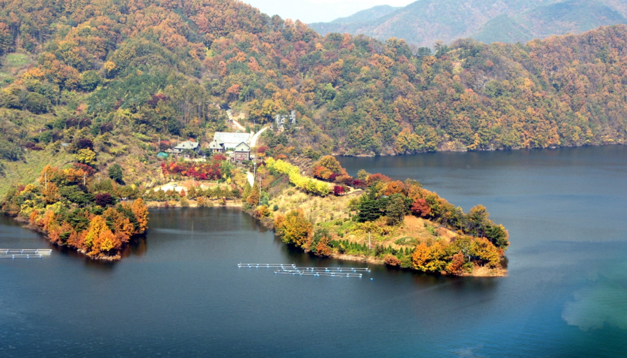 옥천/핫플레이스/대청호/천상의/정원/수생학습식물원