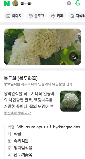 꽃 검색, 꽃 이름 찾는 방법