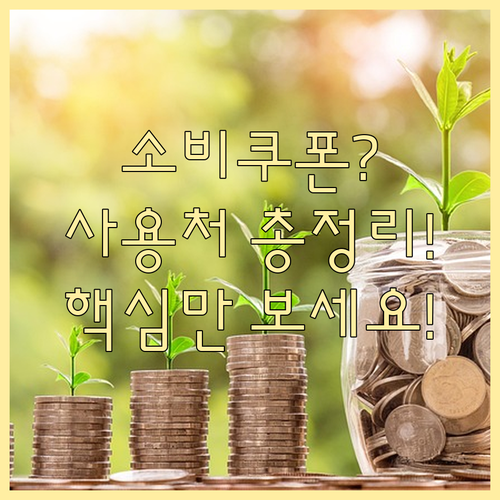 민생회복 소비쿠폰 사용 제한 매장과 ..