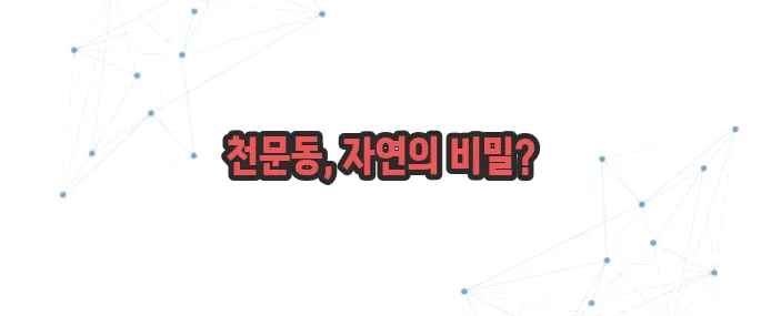 천문동 효능 이보다 자세히 설명할순없다