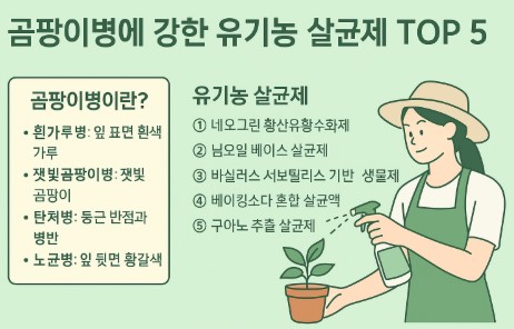 곰팡이병에 강한 유기농 살균제 5가지 사진