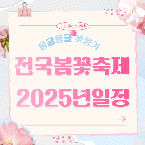 전국봄꽃축제 이미지