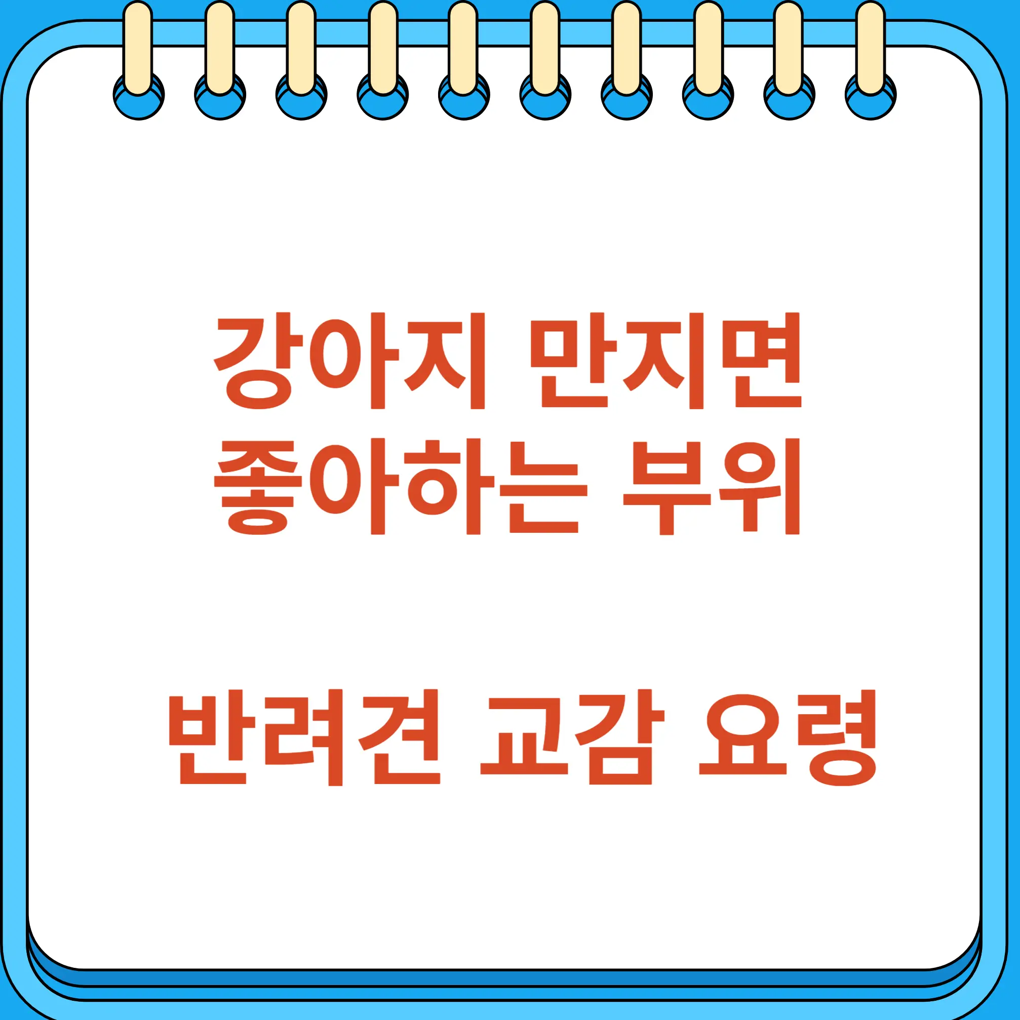 강아지 만지면 좋아하는 부위 반려견 교감 요령