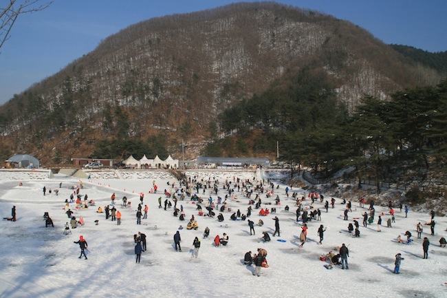 양평 수미마을 빙송어 축제