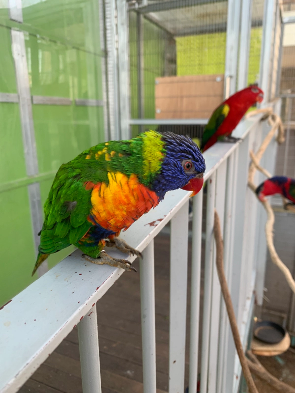 오산버드파크 할인 입장료 및 주차장 가족 여행 후기
