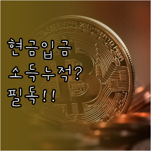 개인회생 중 직접 넣은 현금이 월 소..
