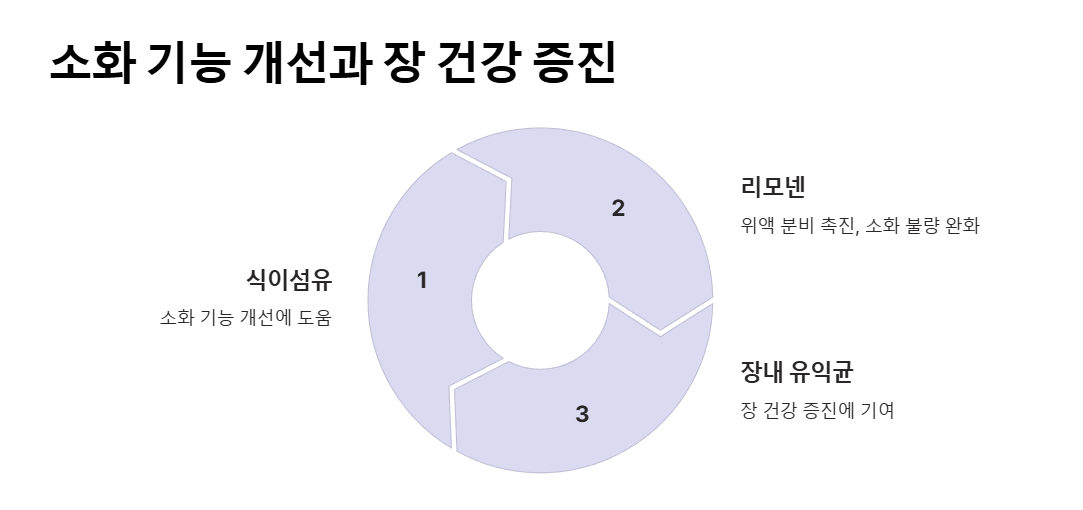 레몬껍질 효능, 소화 기능 개선과 장 건강