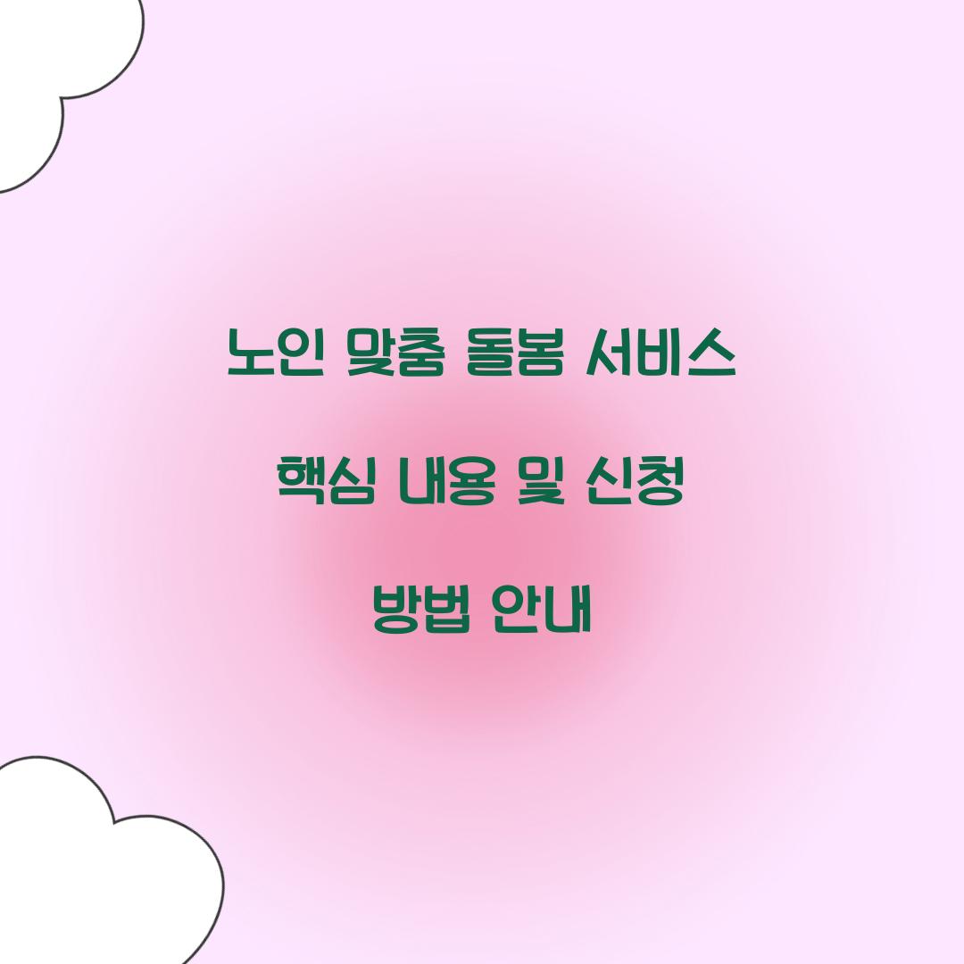 노인 맞춤 돌봄 서비스