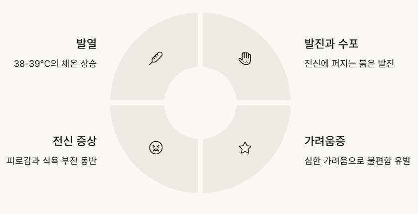 수두의 주요 증상