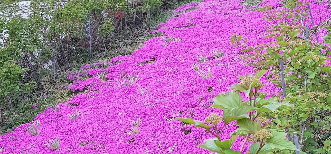 남미륵사(2)