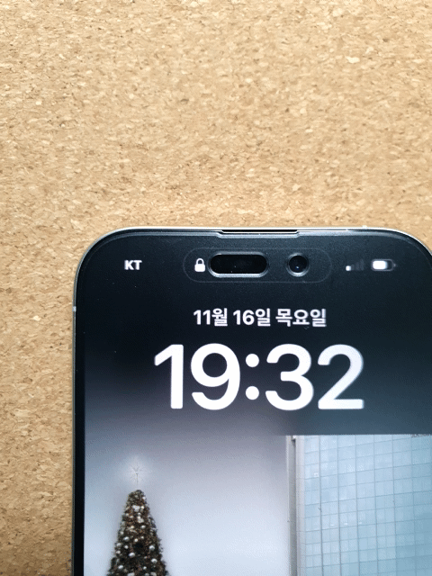 유심-정상-인식