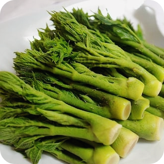 두릅-장아찌-황금레시피