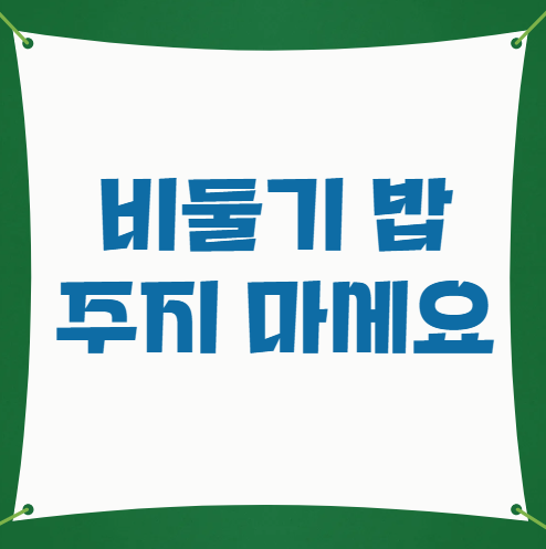 비둘기 밥 주지마세요