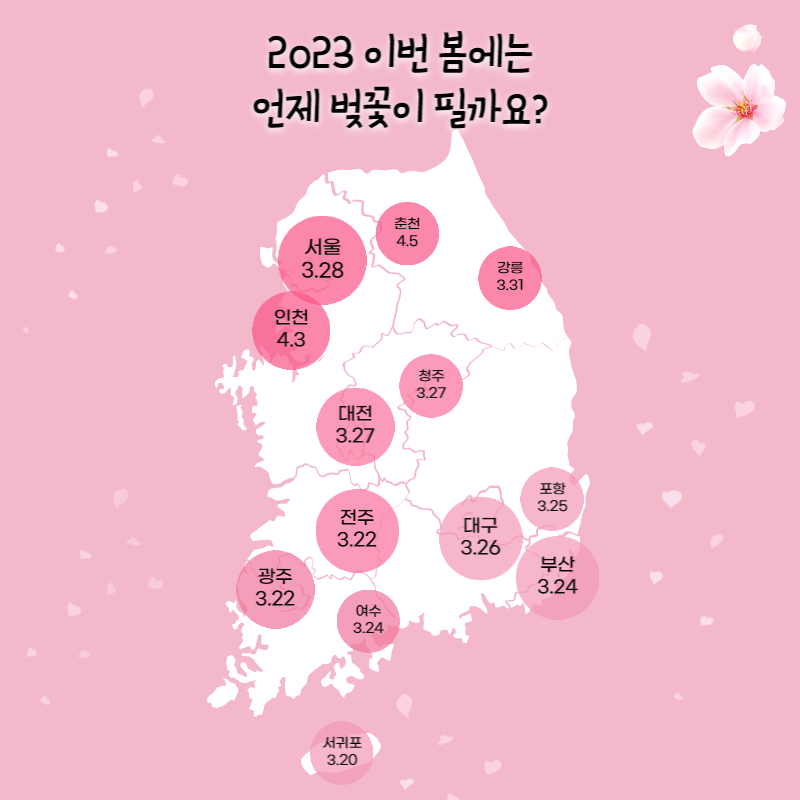 2023 벚꽃 만개시기