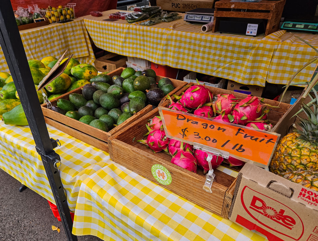 하와이 KCC 파머스 마켓 용과