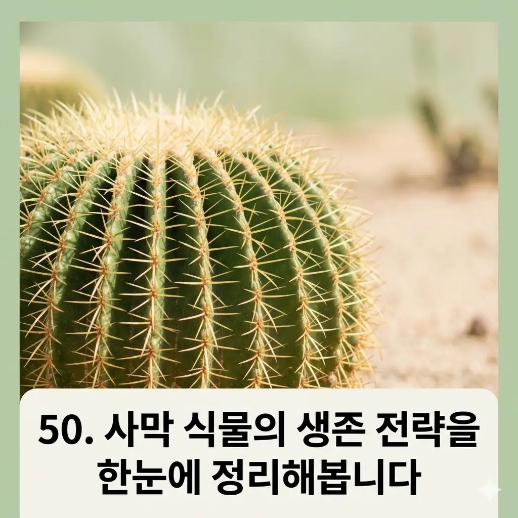 사막 식물의 생존 전략을 한눈에 정리해봅니다