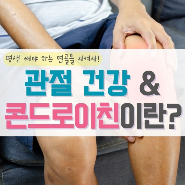 관절 콘드로이친 1200